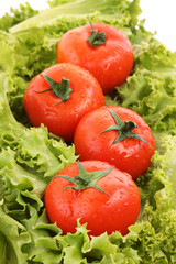 red tomato  vegetables   on the green salad  background