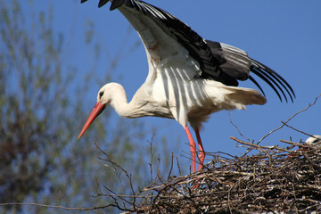 Abflug
