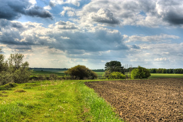 Rural landscape