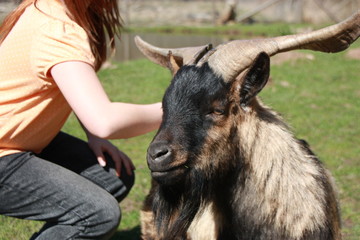 Kind mit Ziegenbock