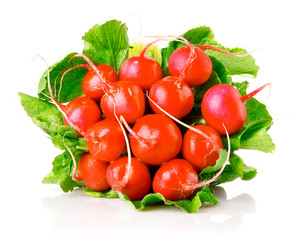 fresh radish with green leaves