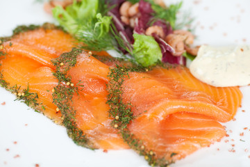 frische lachsscheiben mit kräutern