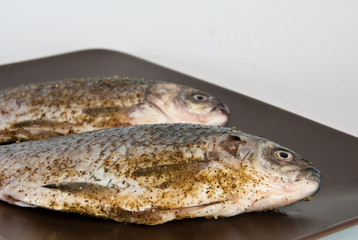 Pair of raw fresh crucian