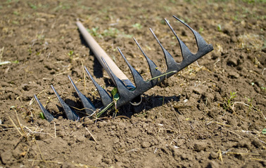 Rake lying on the plowed plot