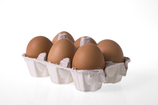 egg box isolated on white background