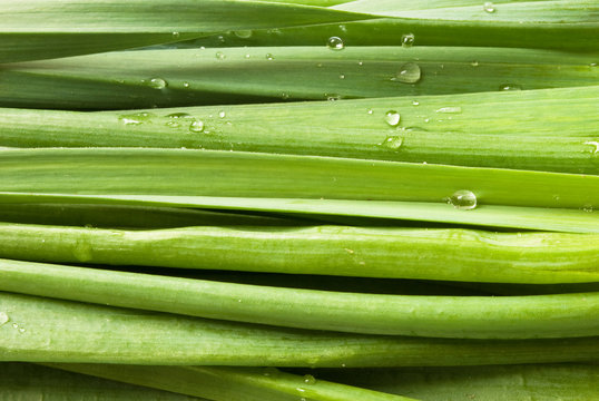 green onions with water drops