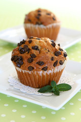 Chocolate Chip Muffins