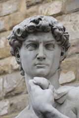Fototapeta na wymiar Head of Famous David by Michelangelo