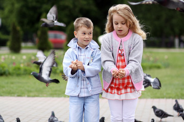 children in the summer park