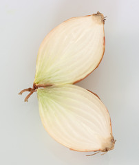 Cross section of two Onions