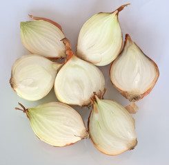 Cross section of Onions