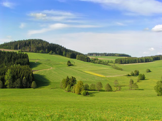 Fototapeta na wymiar Krajobraz Mühlviertler