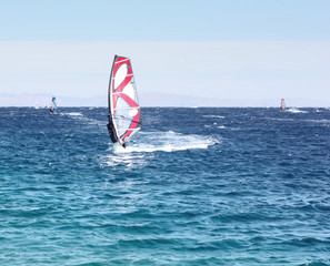 Windsurfers on the blue sea