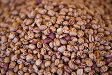 Beans Bucket