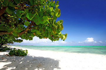 Urlaub pur