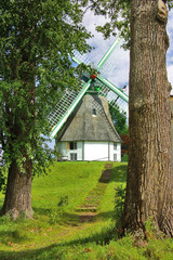 Picturesque landscape with old mill through trunks of a trees