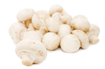 Heap of of mushroom champignon isolated on white background