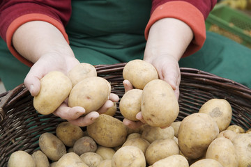 Bäuerin zeigt Kartoffeln aus eigenem Anbau