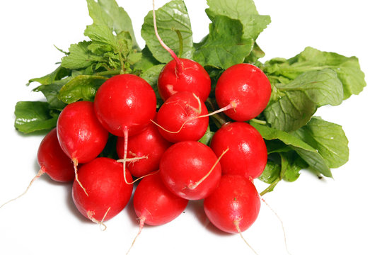 Botte de radis du jardin