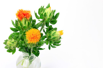 safflower