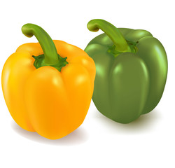 Vector illustration of the the yellow and green peppers