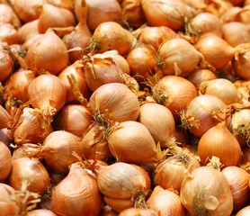 Golden onions in big store