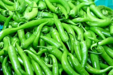 Fresh green hotpepper in groceries