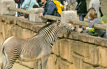 Ecole en visite au zoo