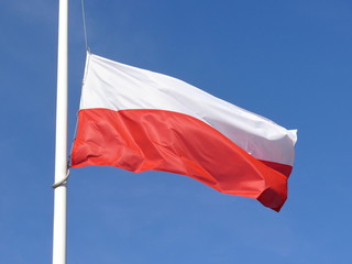 Fototapeta na wymiar polskich flag. połowy masztu.