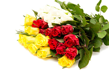 bunch of fresh roses isolated on white