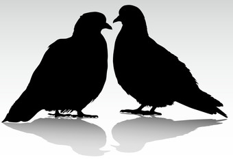 Two doves
