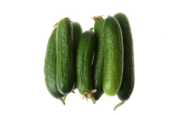 cucumbers on the white background..