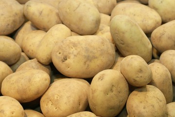 Potatoes for crispy chips