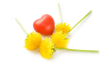 Flowers and heart isolated on white