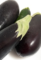 Eggplant