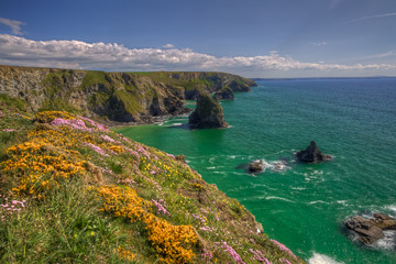 spring bedruthan steps