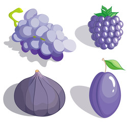 Set dark blue and lilac fruit