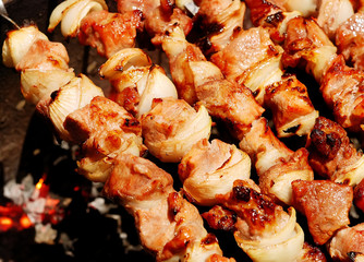 kebab with onion