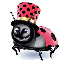 coccinella cilindro