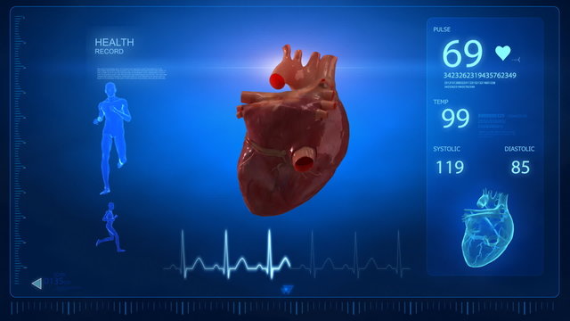 Human heart concept in loop