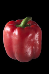 Poivron rouge sur fond noir
