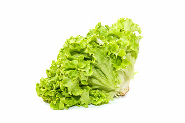 lechuga