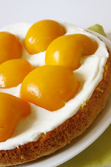 pfirsichkuchen,obstuchen