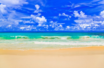 Fototapeta na wymiar Waves on tropical beach