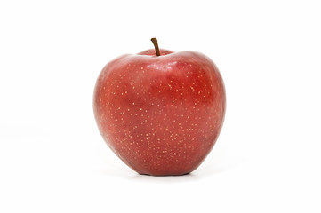 manzana sobre fondo blanco