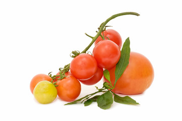 tomates frescos sobre fondo blanco