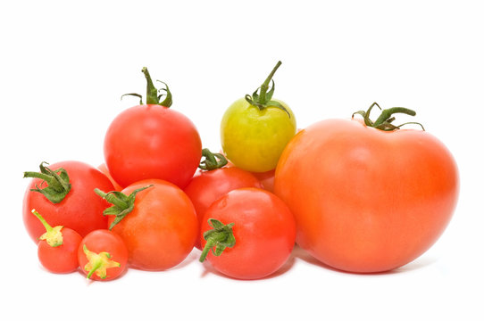 variedad de tomates frescos sobre fondo blanco