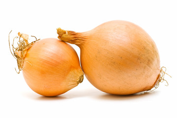 cebollas frescas sobre fondo blanco