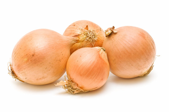 cebollas frescas sobre fondo blanco