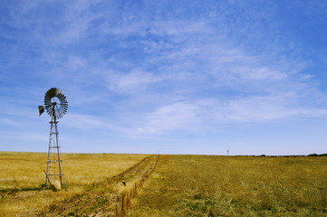 Windmill